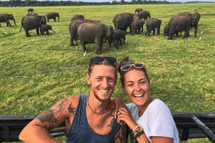 Minneriya Fullday Jeep Safari